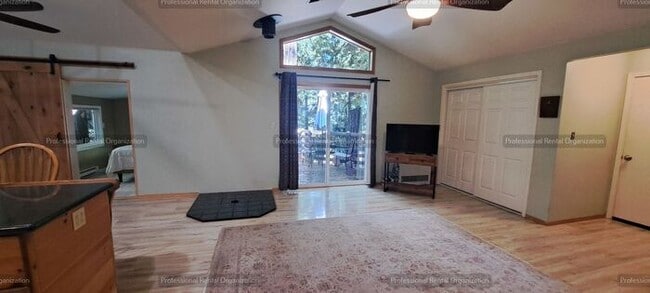 Photo - Sunlit Sanctuary in the Redwoods