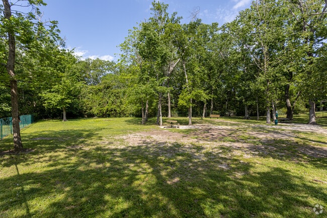 Dog Park