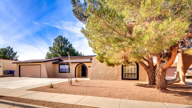 Photo - Upper Valley of West El Paso Rental Home