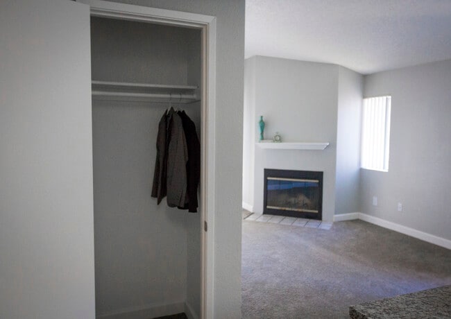 Hall closet storage
