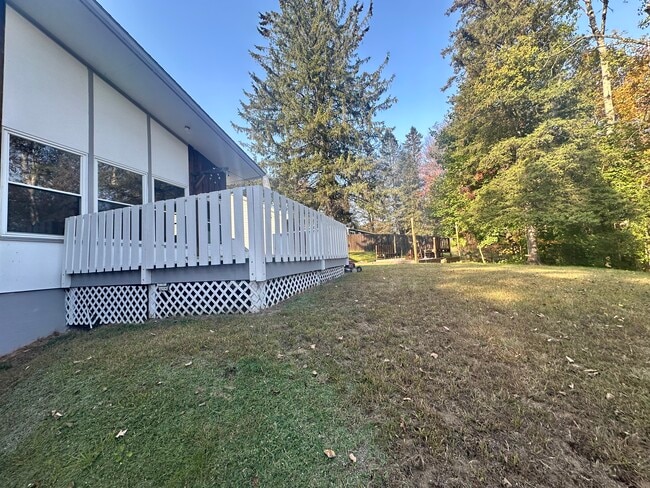 Backyard + deck