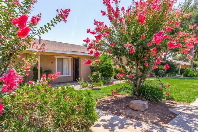 Photo - Providence Pointe