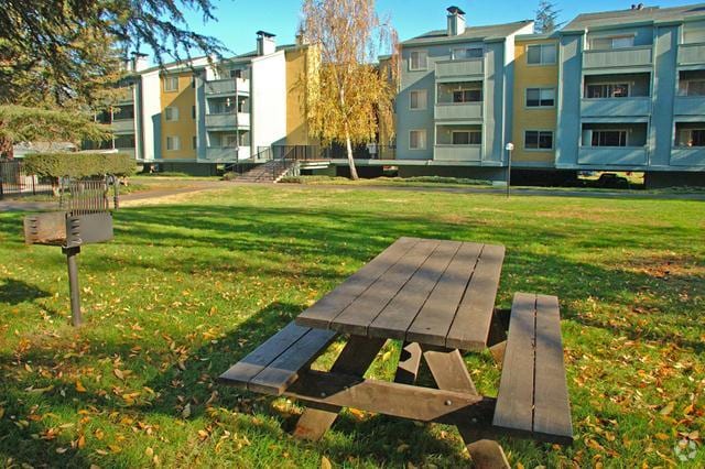 Picnic Area