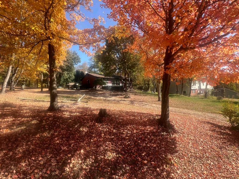 Photo - 186 Crabapple Dr