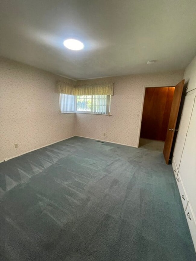 Photo - 3 bed 2 bath house in the Prospect Heights Neighborhood