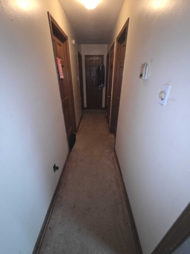 Photo - 5011 Ridge Tree Dr
