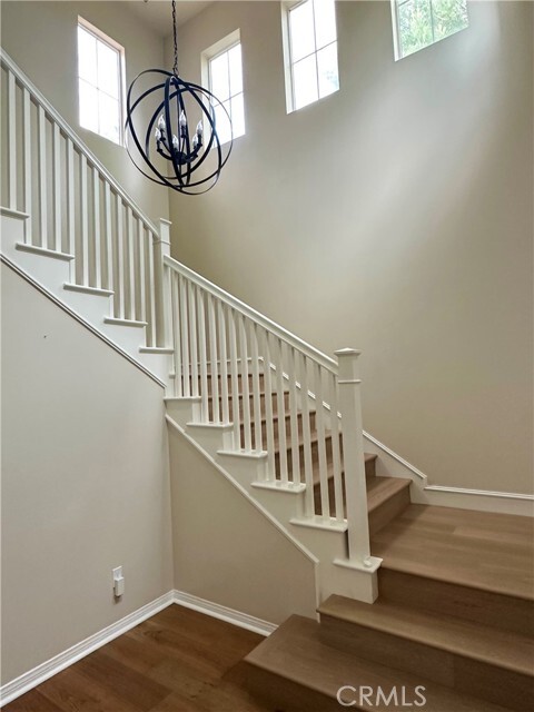 Photo - 111 Island Coral