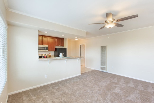 5077 Cape May Avenue San Diego, CA 92107-Oceanwalk Apartment Homes Living Room - Elan Ocean Walk