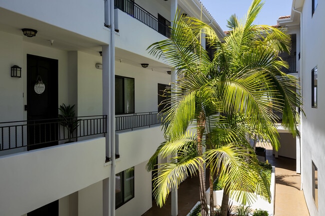 Vista Paradiso