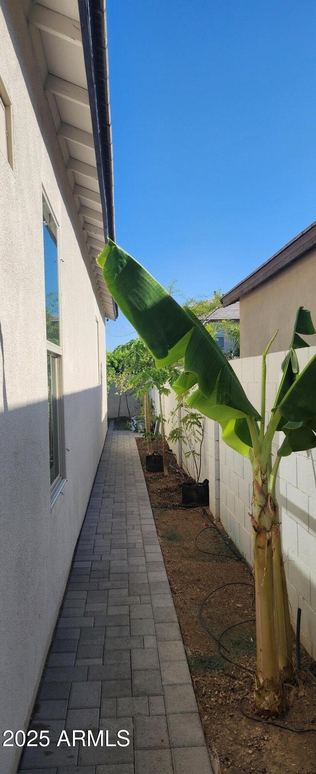 Photo - 6621 E Villa Rita Dr