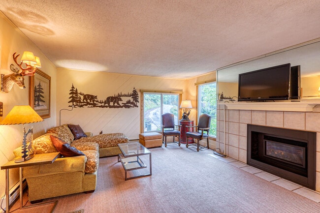 1063 Vail View Dr