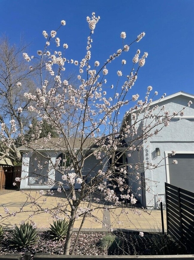 Photo - 5868 Lean Way