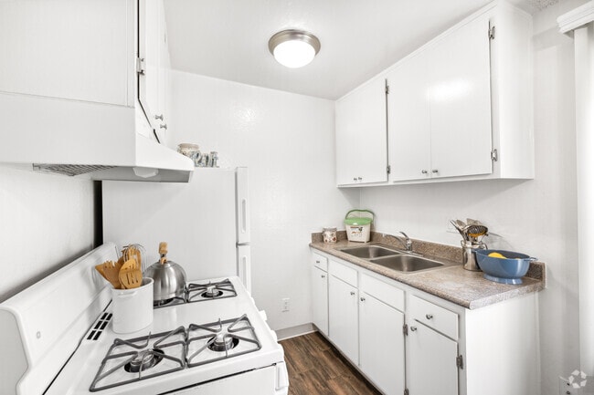 1BR, 1BA - 540SF - Kitchen