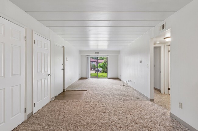 Photo - Forest Apartments