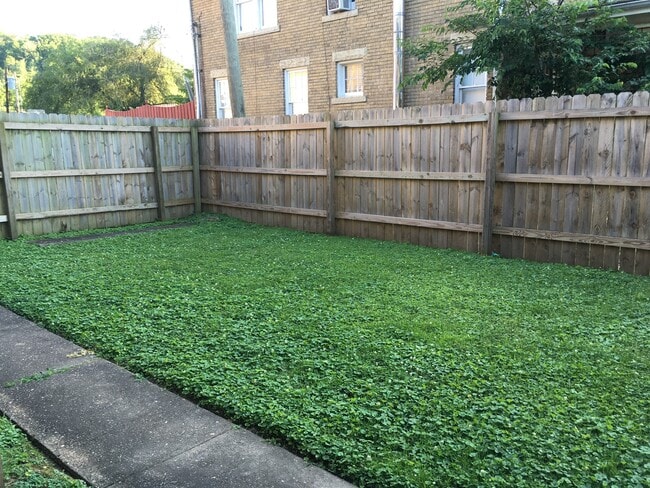 Patio trasero compartido - 1201 7th St