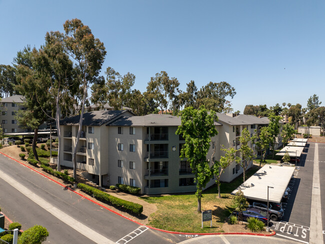 Building Photo - Solana at Grand Rental