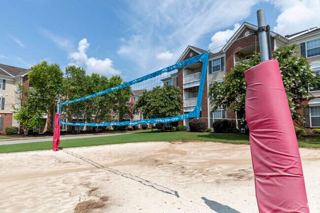 Servicios - vóleibol de playa - Ashbury Woods