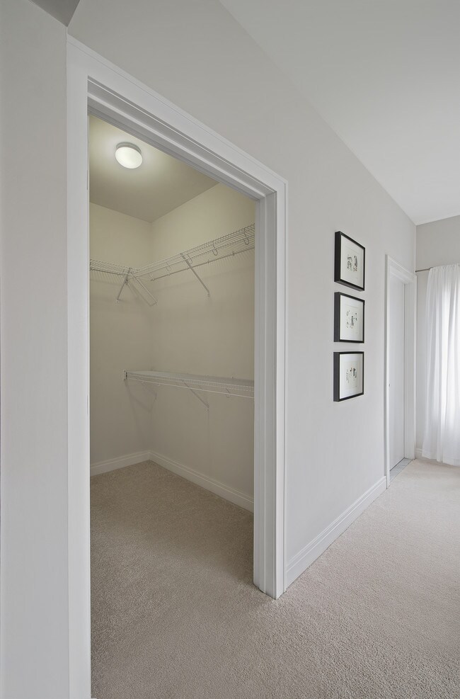 Walk-in Closet