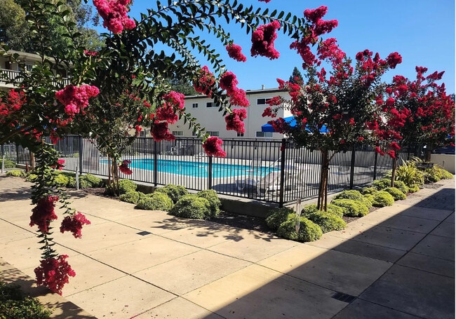 Pacific Garden Apartments - Pacific Garden Apartments