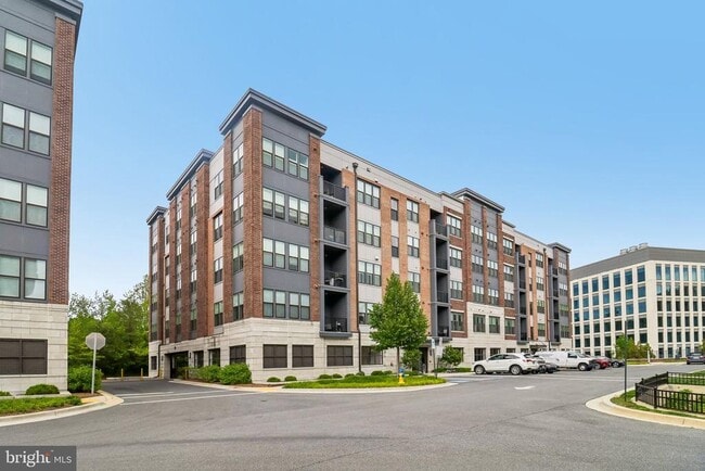 Building Photo - 3503 Bellflower Ln Unit 406