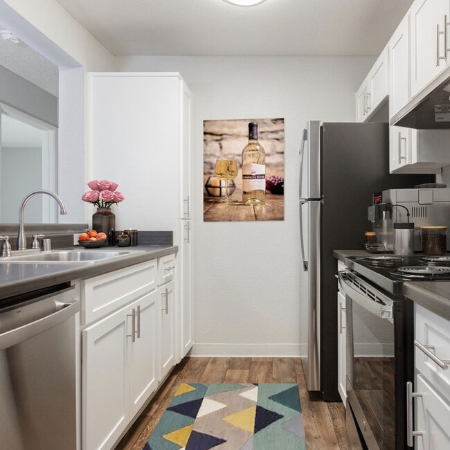 Photo - Autumn Springs