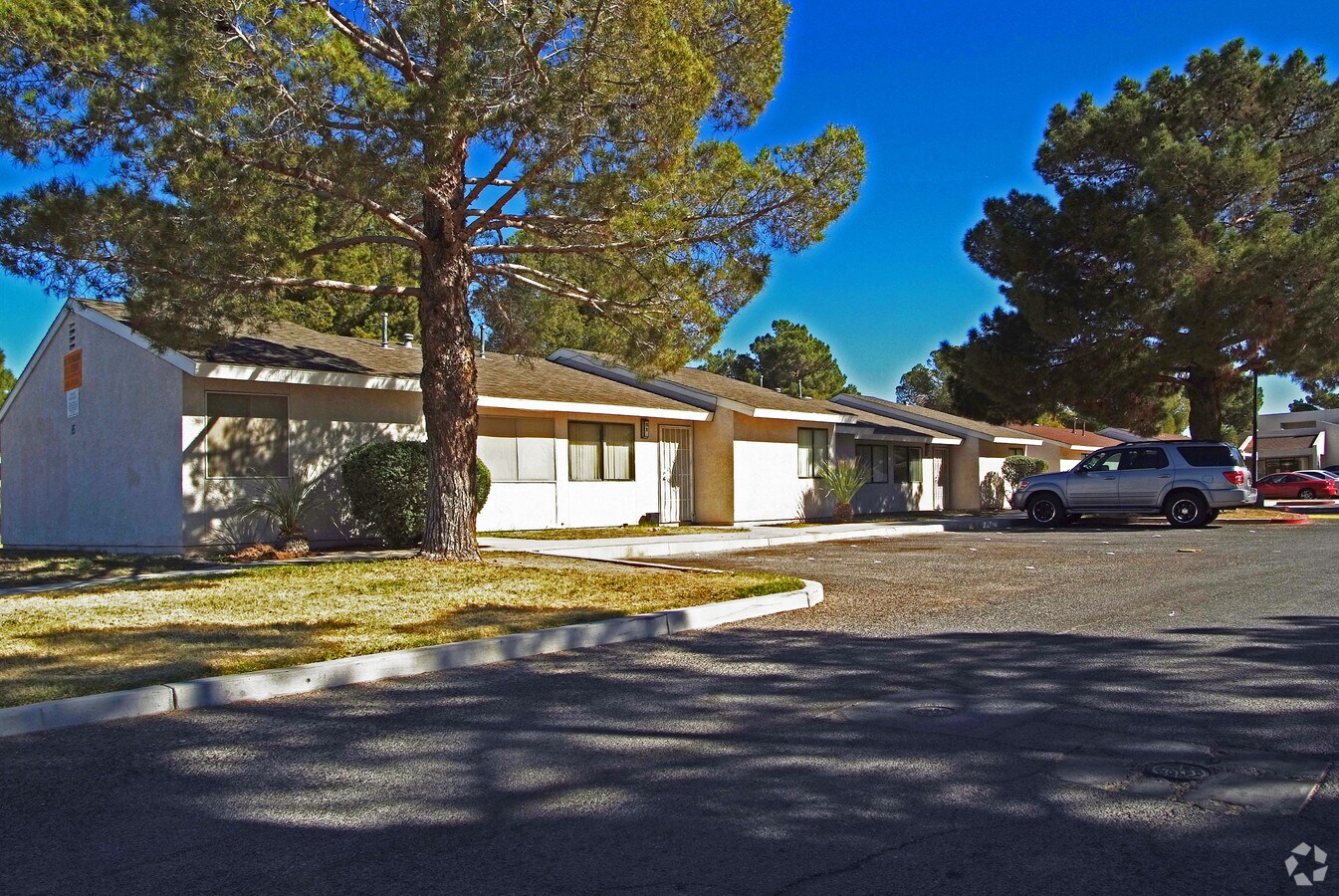 Photo - Jones Gardens