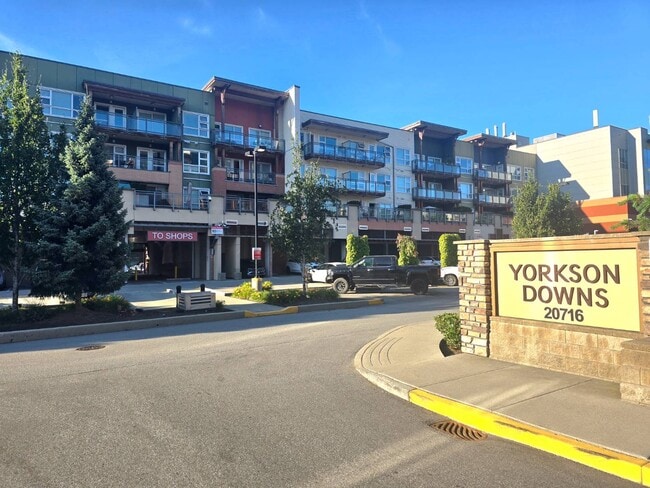 Building Photo - 20716 Willoughby Town Centre Dr Unit A612
