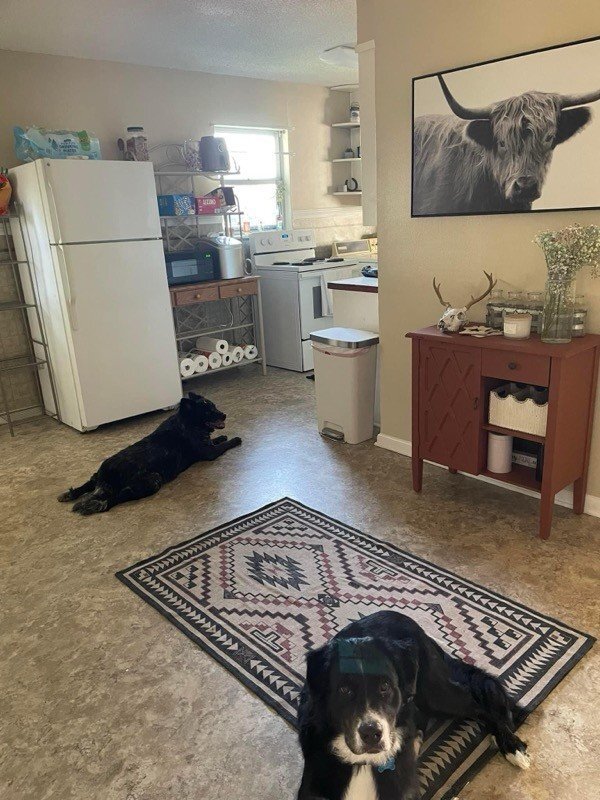 Photo - Easily accessible 3 bedroom/1 bath in Dublin