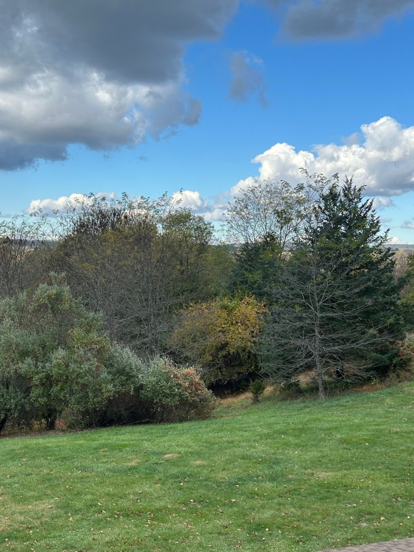 Photo - 36 Highland Cir