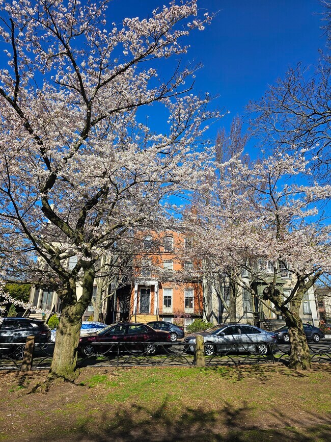 Photo - 40 Academy St Unit 1