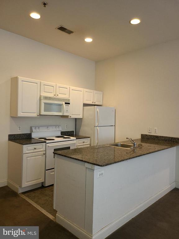 Photo - 1001-13 Chestnut St Apartment Unit 301W