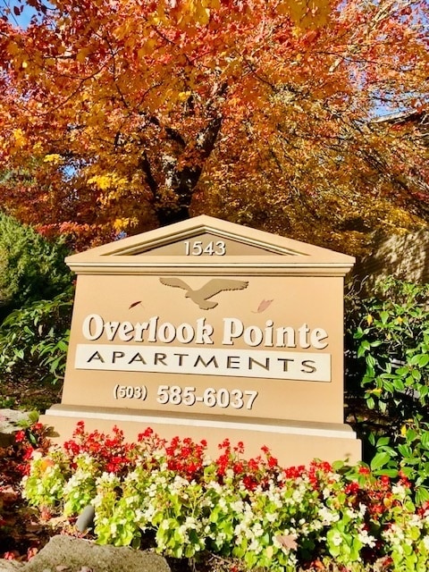 Overlook Pointe Apartments