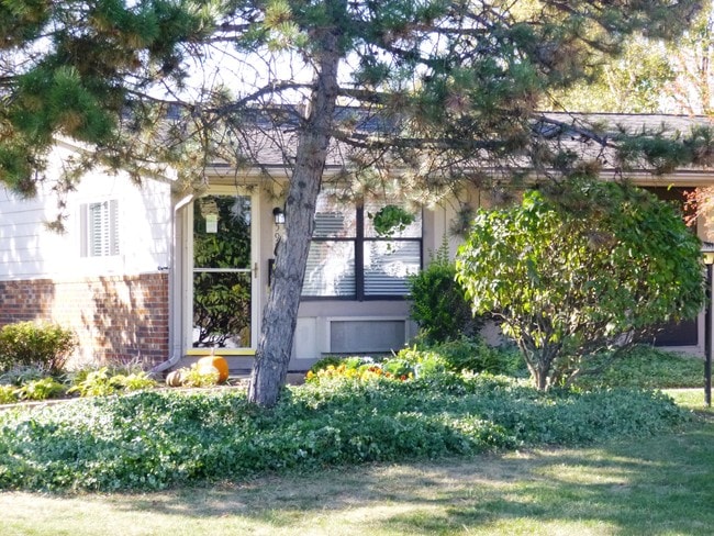 TODO EN NOSOTROS ES ESPECIAL - Heathmoore - Indianapolis