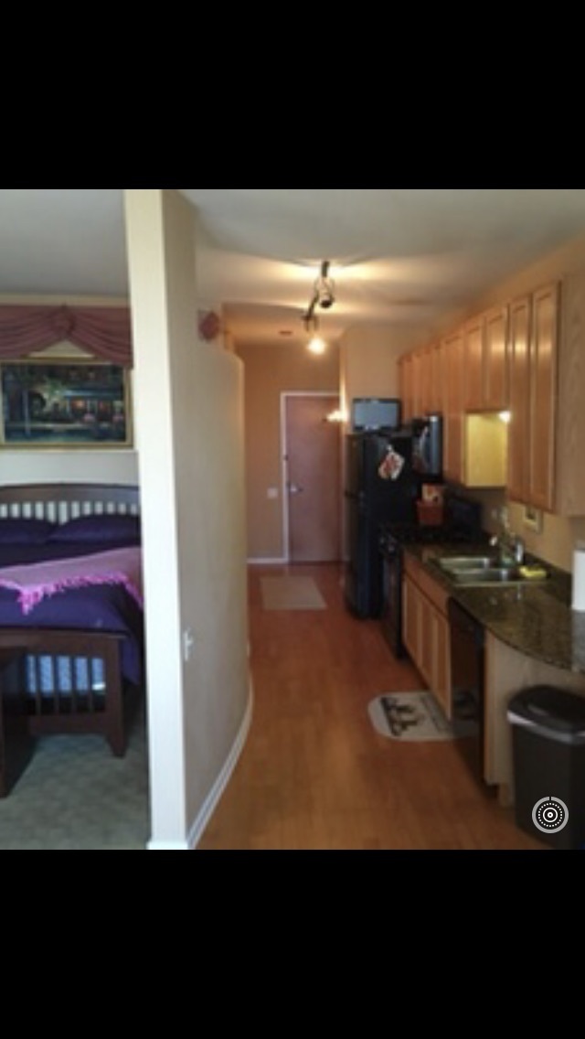 Features he floors and granite counters - 210 S Desplaines St Unidad 1503 Rental