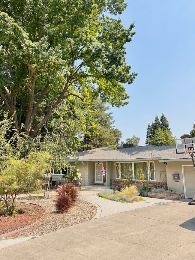 Photo - 991 Piedmont Dr House