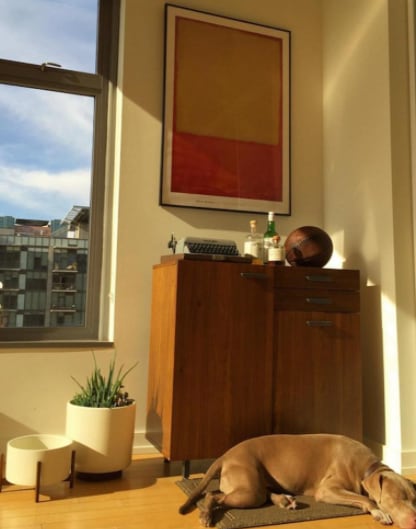 Living Room - 801 S Grand Ave Unit 1601