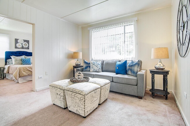 Oversized Living Room Windows - Sedgefield Apartments