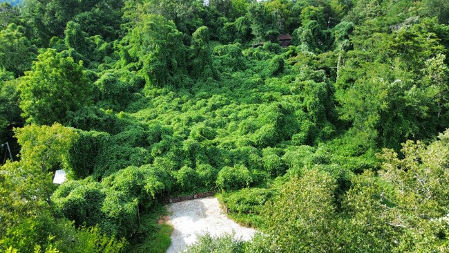 Photo - 7712 Sevierville Pike