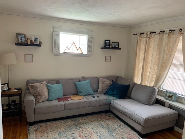 Living Room - 6 Bromfield St Unit 6