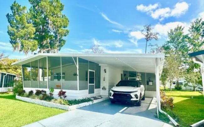 Photo - 82 Maple in the Wood