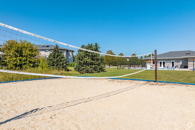 Volleyball Court
