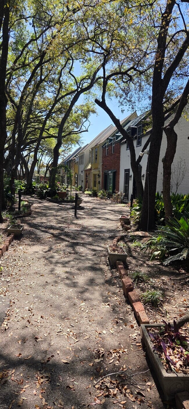 Photo - 5217 Arboles Dr Unit D