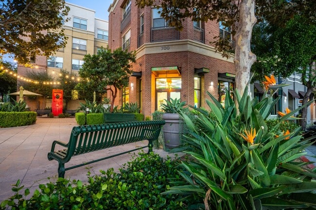 Paragon at Old Town