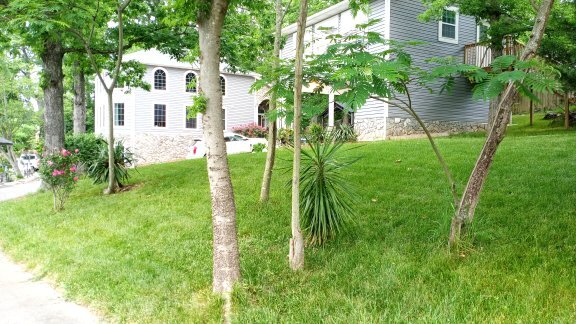 Photo - 2741 Robinwood Rd