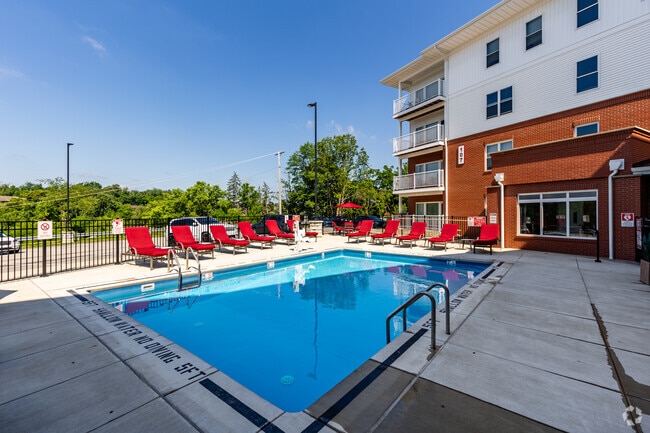 Sparkling Swimming Pool - Fox Plan