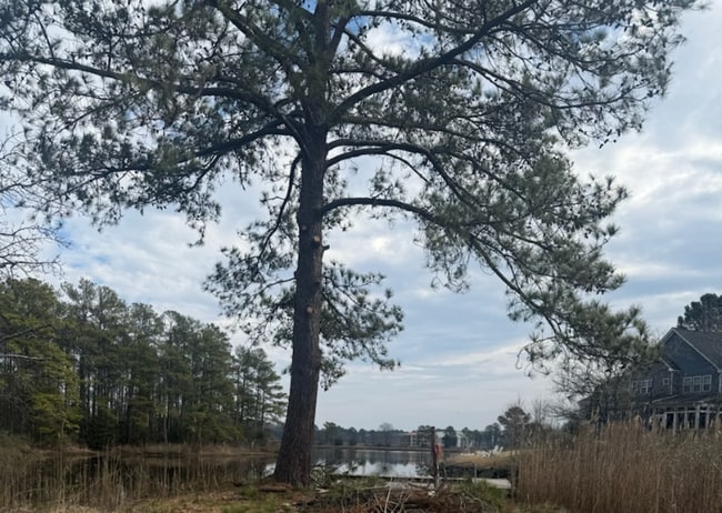 Photo - 1732 Rockwood Dr