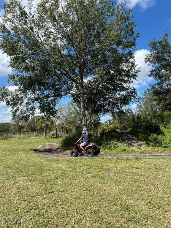 Photo - 175 Bald Cypress Ave