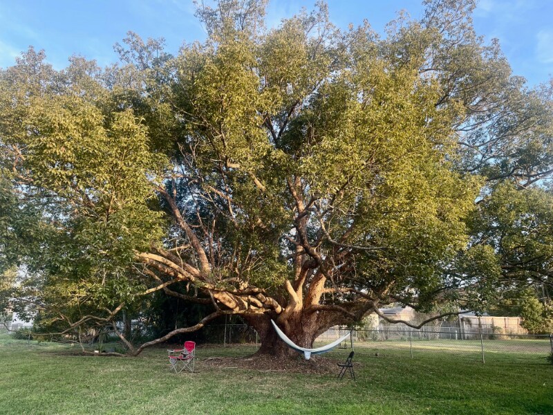 Photo - 950 Hedgewood Ct