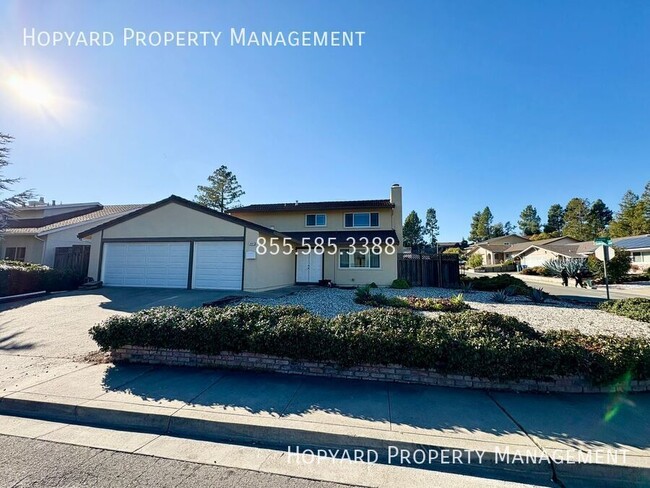 4 Bedroom Gem in Hayward Hills - 4 Bedroom Gem in Hayward Hills Casa