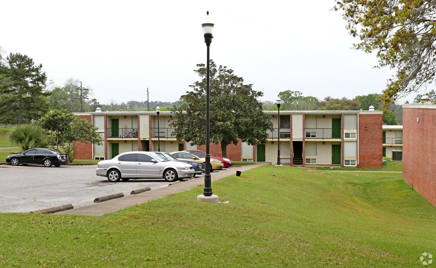 Photo - Palmetto South Apartment